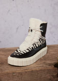 JANELLE ZEBRA